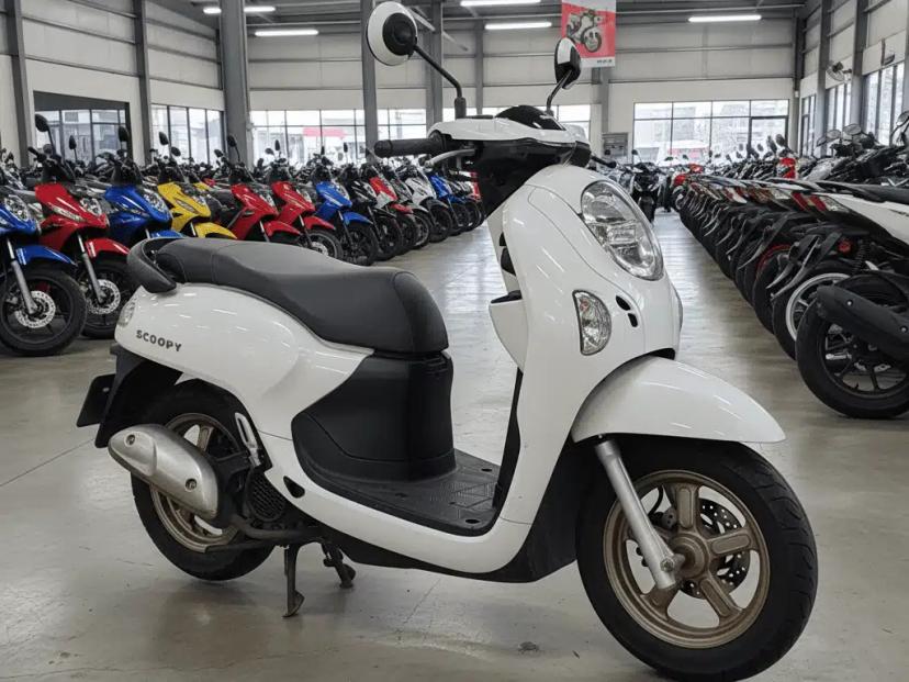 harga motor scoopy bekas