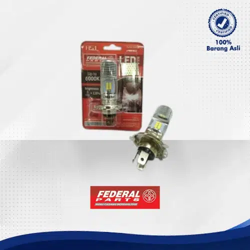 LED BULB HS1